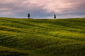 春天黄昏原野草地图片